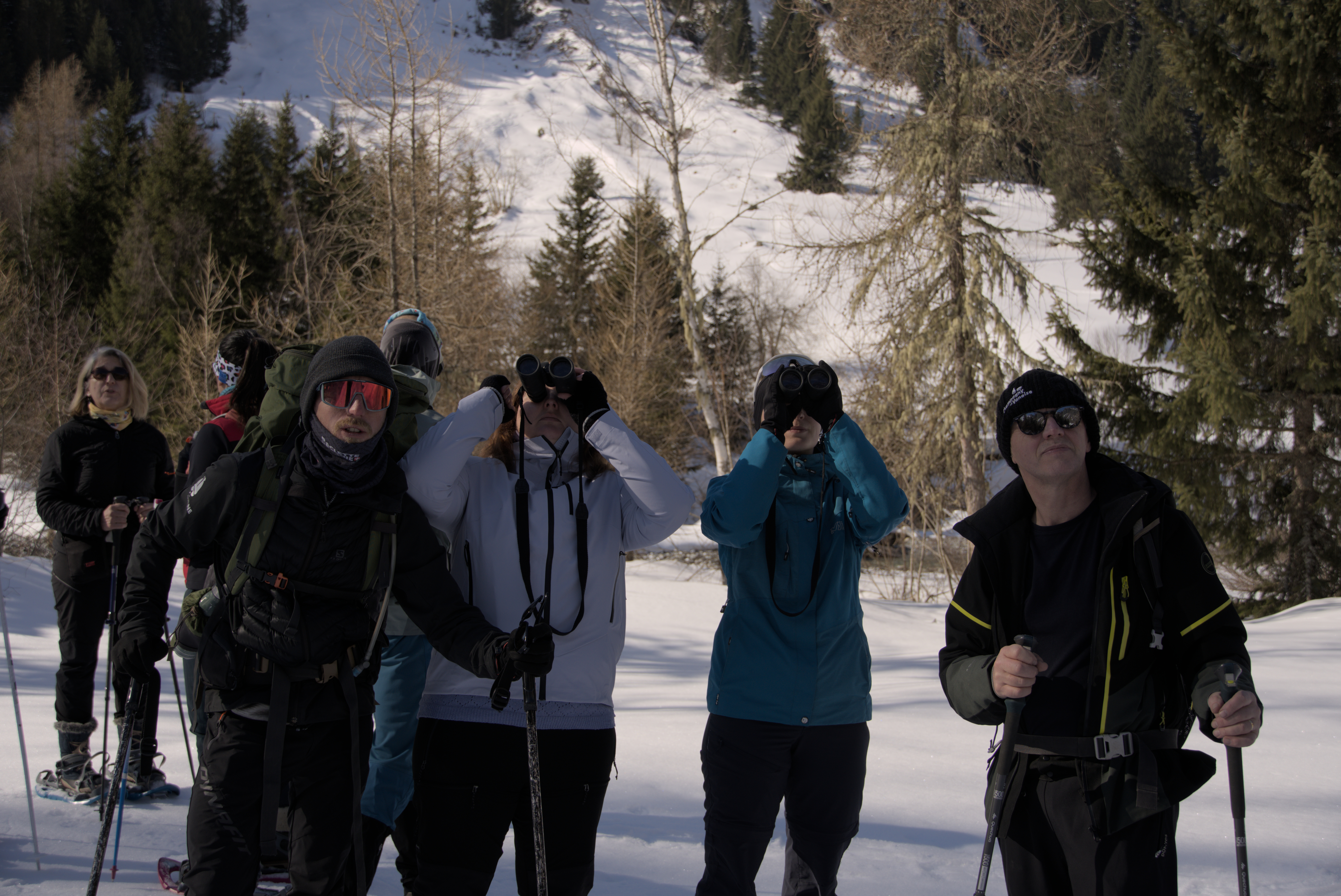 Observation de la faune dans le Parc national de la Vanoise
